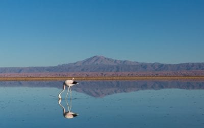 Top 9 Digital Nomad Blogs To Follow In 2022