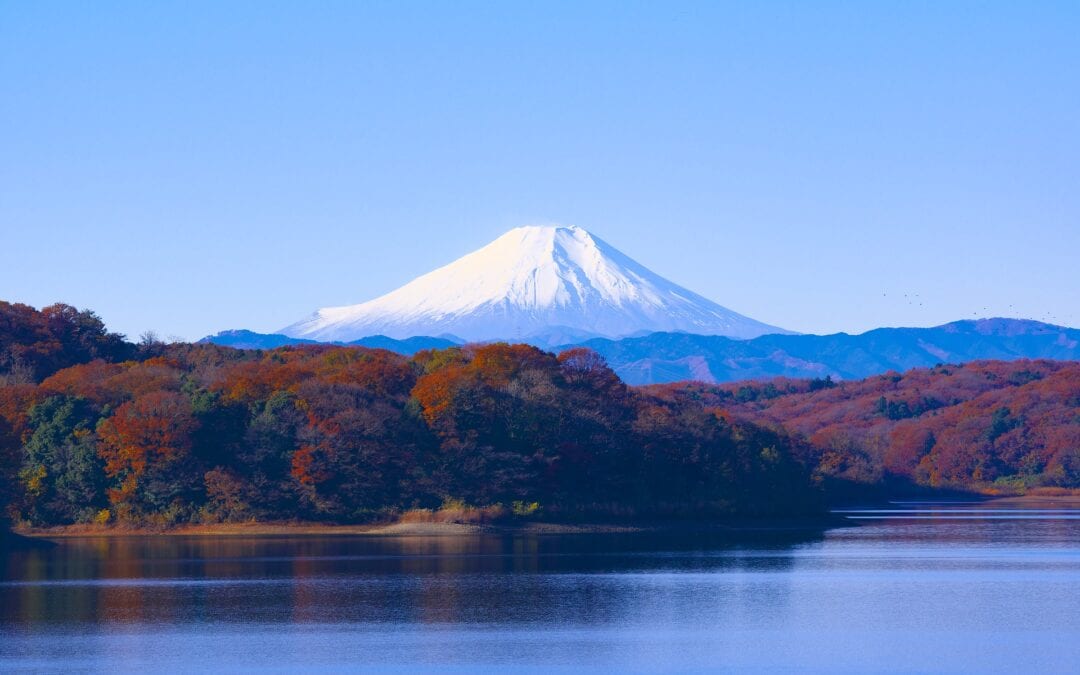 Living in Tokyo as a Digital Nomad
