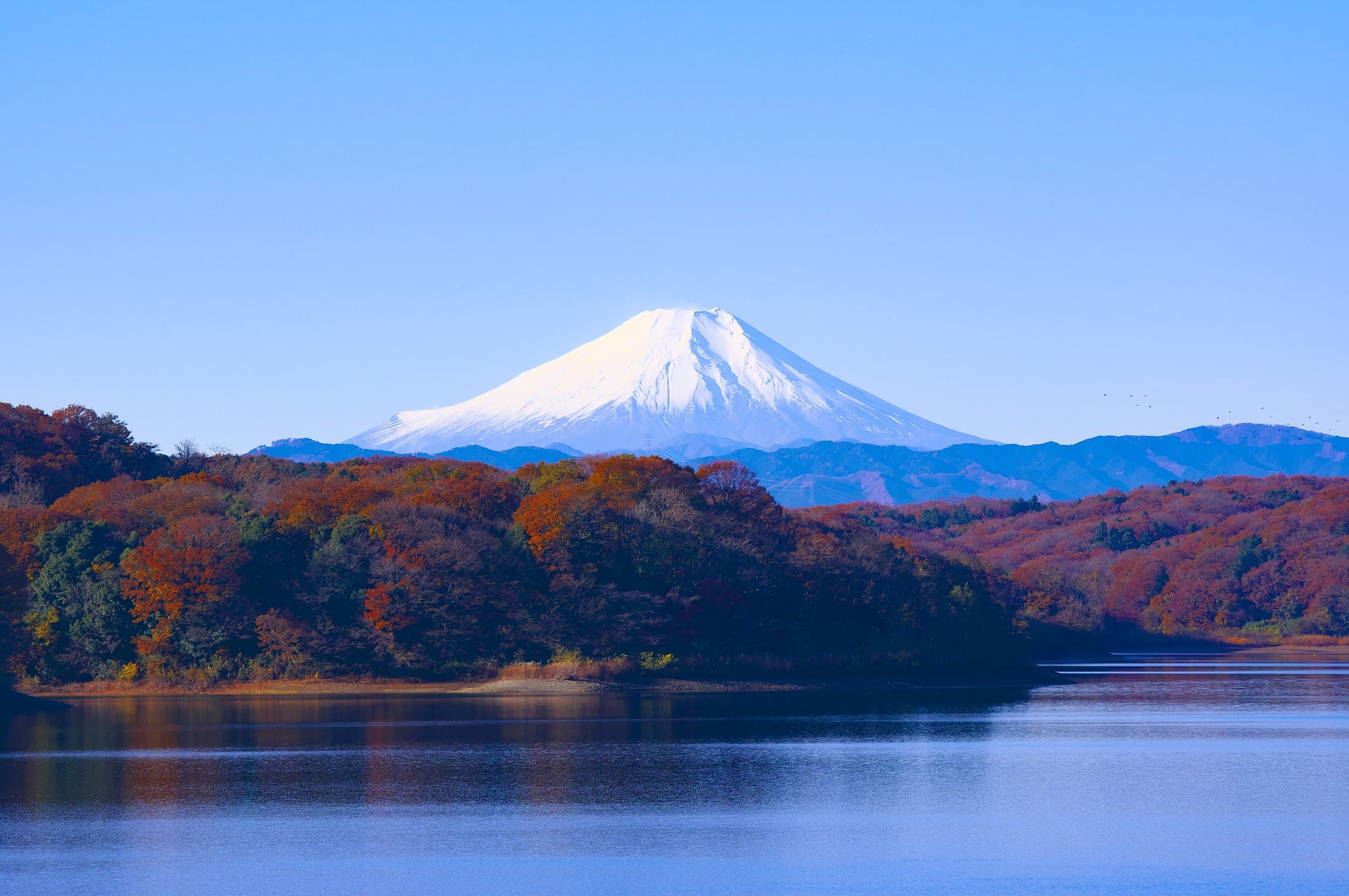 Tokyo as a Digital Nomad