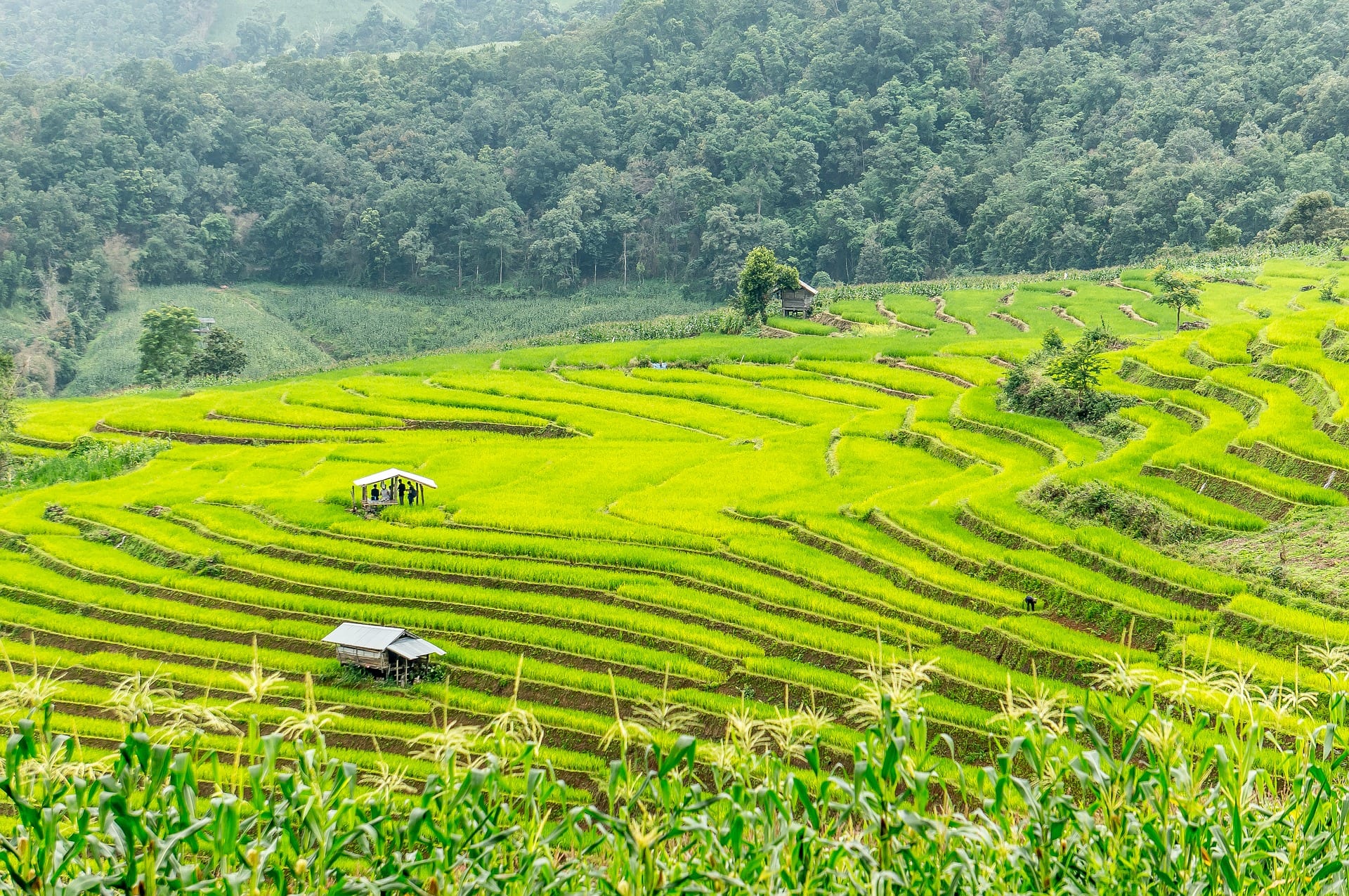 Chiang Mai as a Digital Nomad
