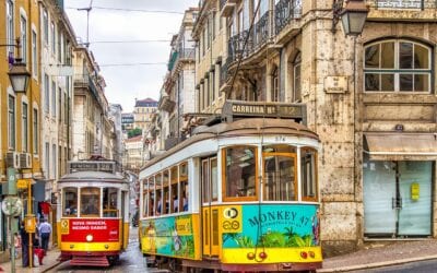 Lisbon Digital Nomad