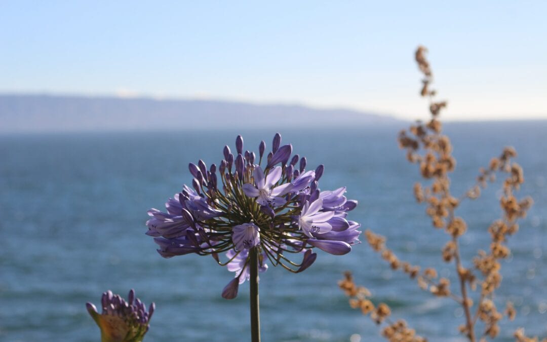 Best Beach Destinations for Digital Nomads