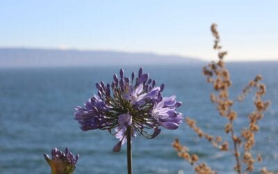 Best Beach Destinations for Digital Nomads