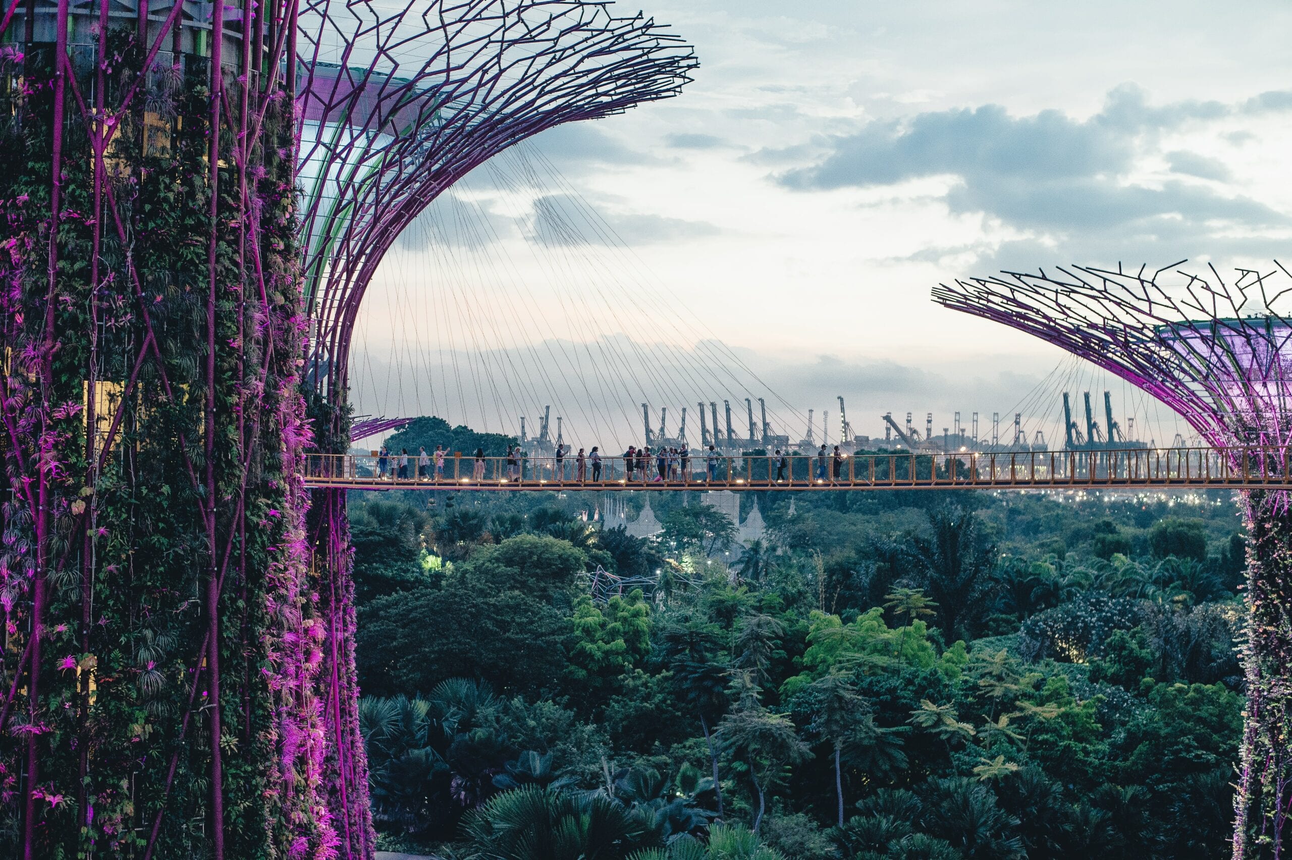 5 of the Best Eco-friendly Cities for Digital Nomads