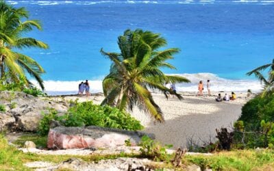 Q&A with Peter Thompson, Founder of Remote Work Barbados