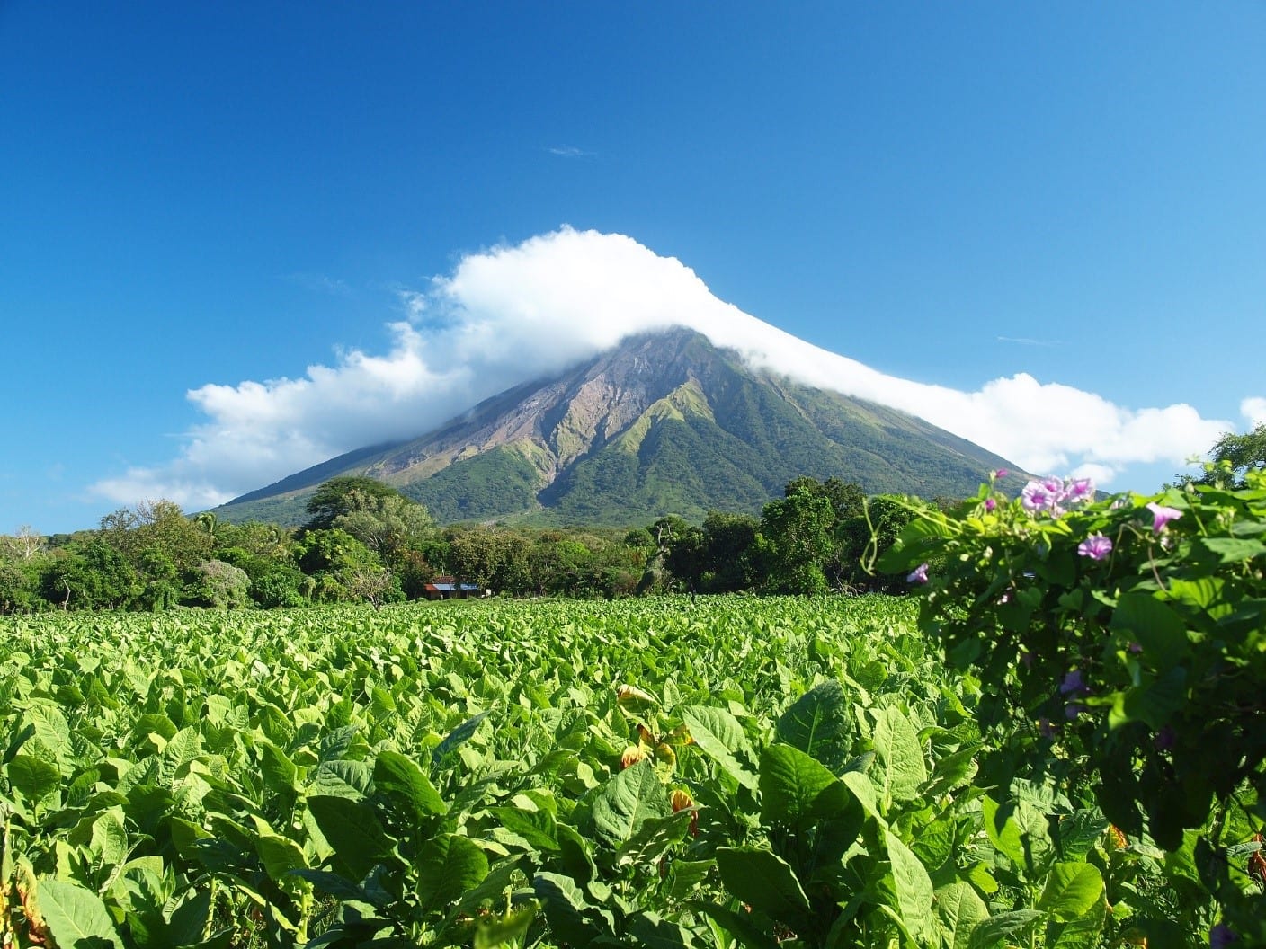 Steps to Being a Digital Nomad in Nicaragua