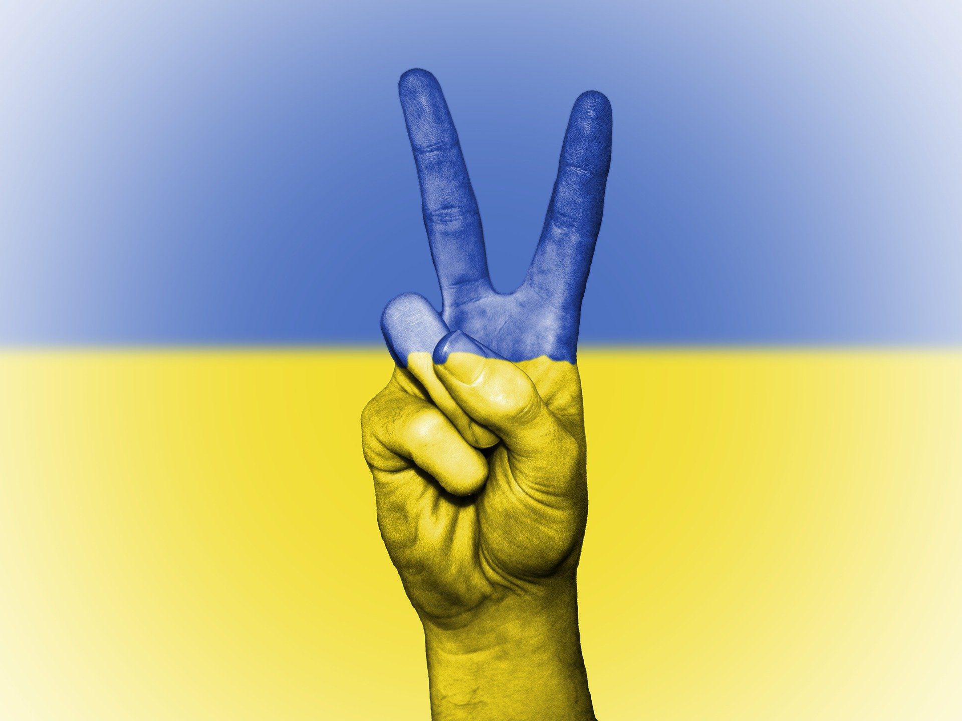 How Can Digital Nomads Help Ukraine?