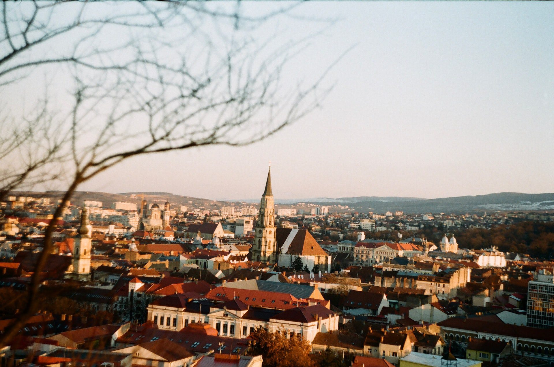 SEX AGENCY in Cluj-Napoca