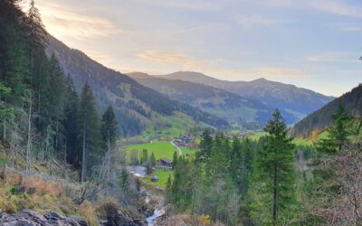 Workation in the Swiss Alps