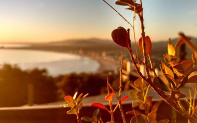 Uruguay Opens Its Borders to Digital Nomads