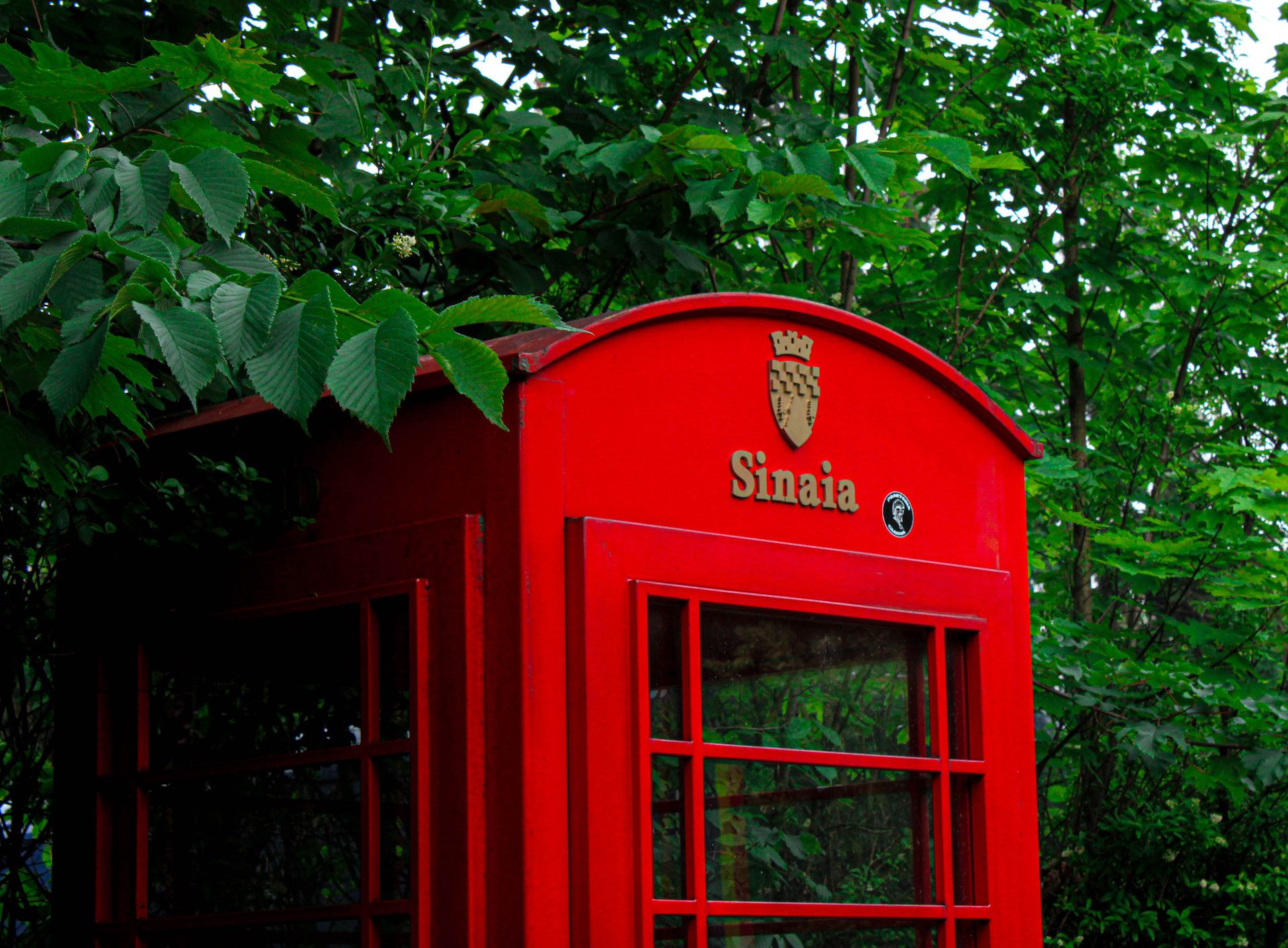 Living in Sinaia as a Digital Nomad