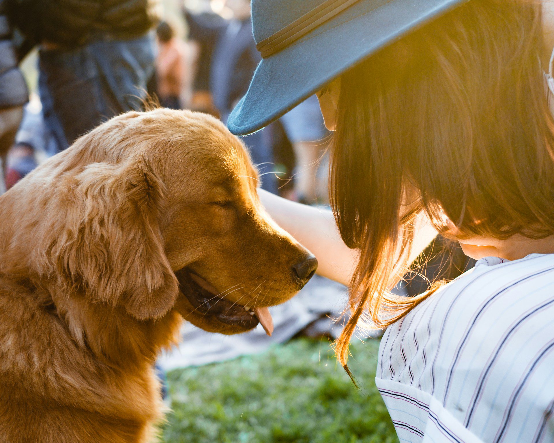 Discovering San Francisco’s Charm With Your Furry Friend  