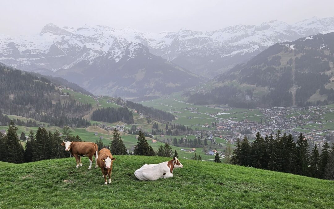 A new coliving experience week in the Swiss Alps