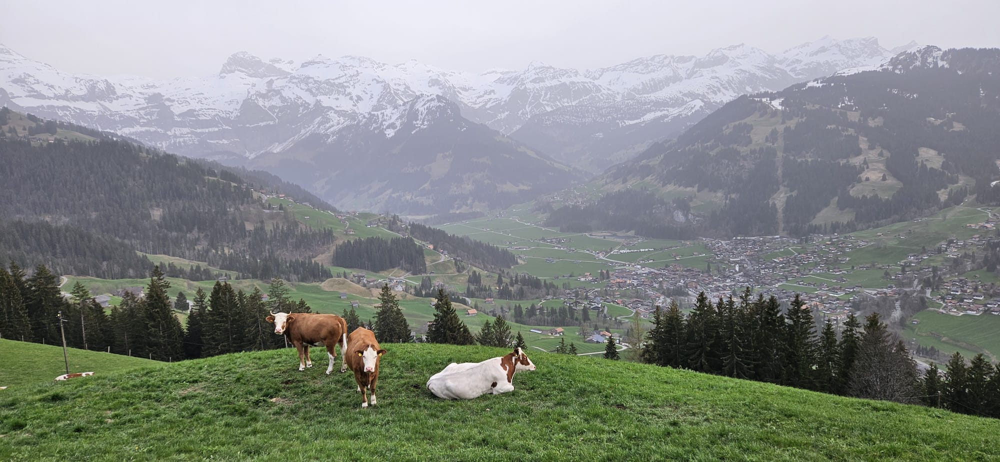A new coliving experience week in the Swiss Alps
