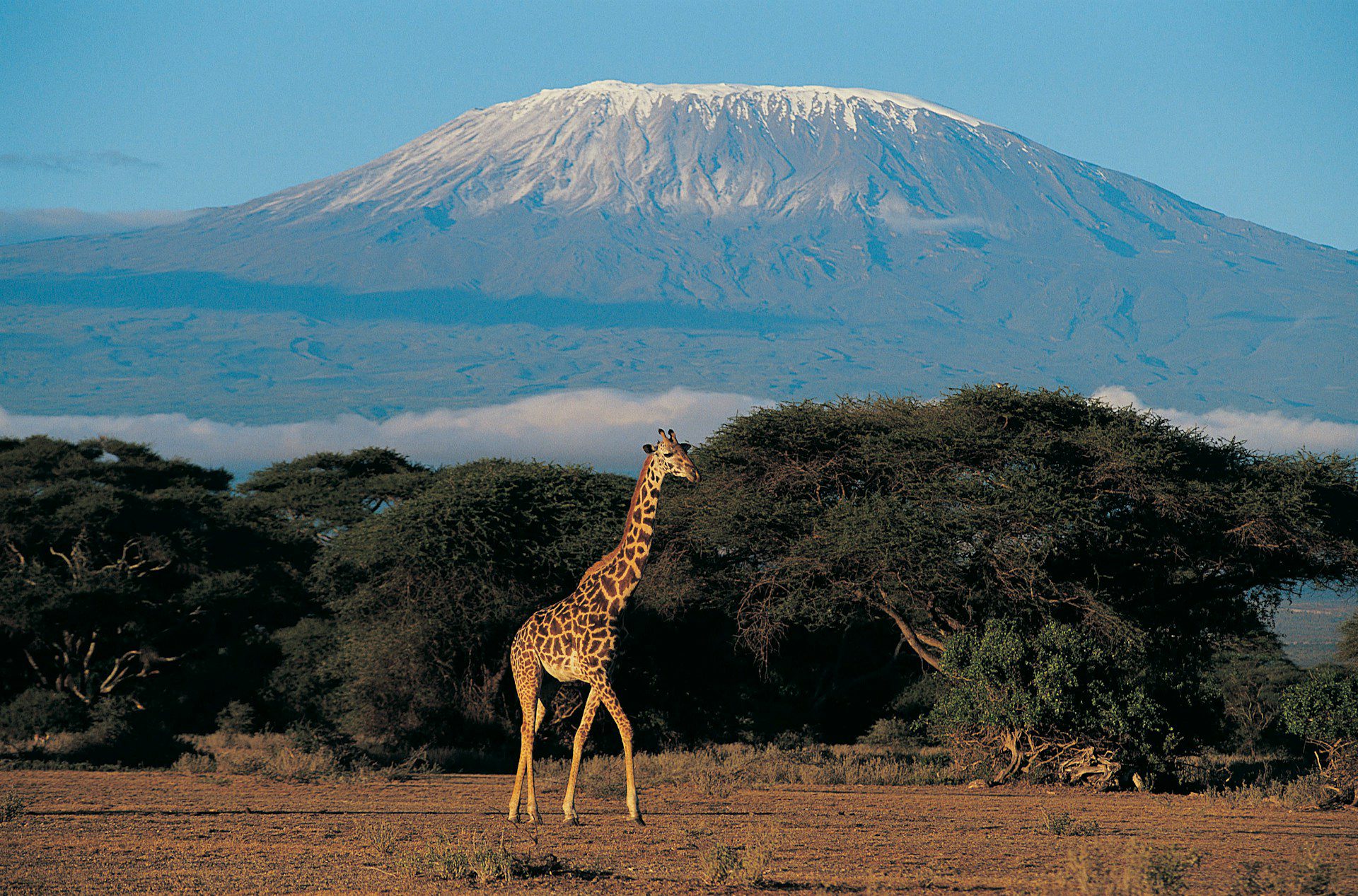Kenya Launches Digital Nomad Visa