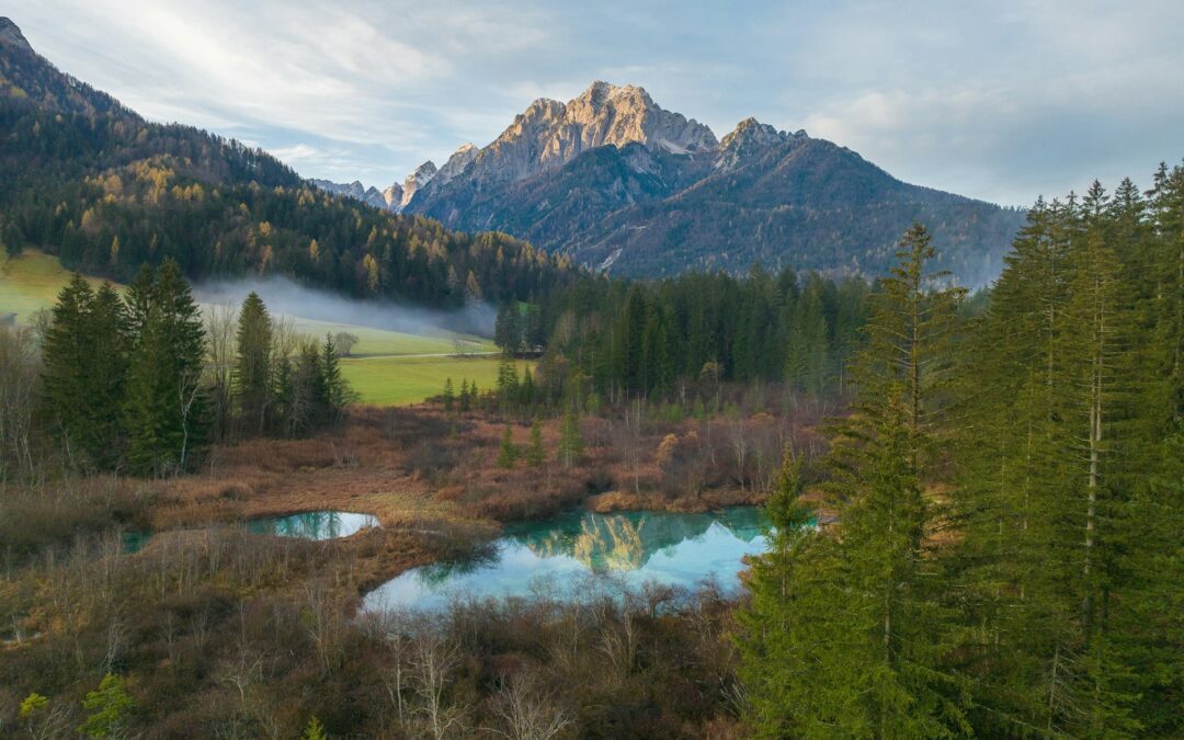 Slovenia Launching Digital Nomad Visa!