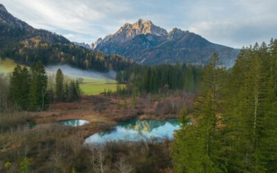 Slovenia Launching Digital Nomad Visa!